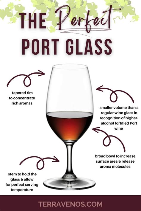 Port Wine Glasses: What You Need to Know — tèr·ra·ve·nos