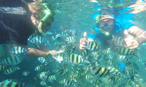 Paket Snorkling Pahawang Lampung | CITRANI WISATA