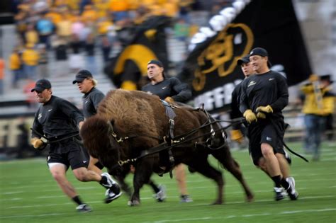 The Ralphie Report has been covering the Colorado Buffaloes for ten years