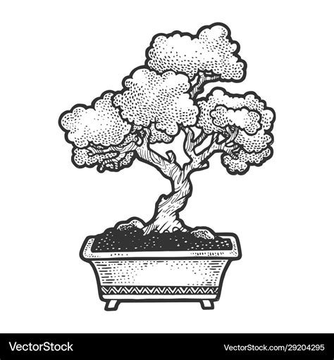 Top 127+ bonsai tree drawing latest - seven.edu.vn