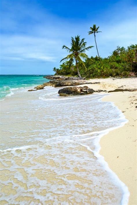 an ocean beach with waves coming in to shore and palm trees on the ...