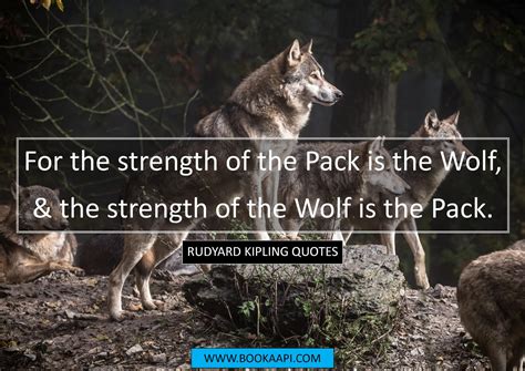 9 Amazing Rudyard Kipling Quotes from The Jungle Book