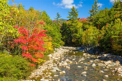 Autumn Trees By The River Free Stock Photo - Public Domain Pictures