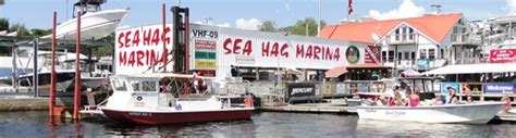 Sea Hag Marina - Steinhatchee, Florida - Marinalife