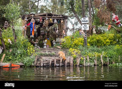 Creepy doll island, dolls hanging at Xochimilco, Mexico Stock Photo - Alamy