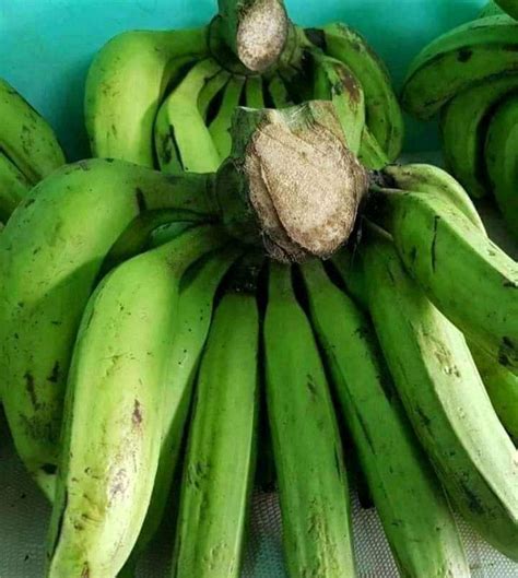 Pisang nangka mentah 1 kg | Lazada Indonesia