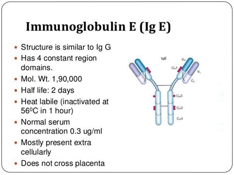 Immunoglobulins, complement and immunodefeciency disorders