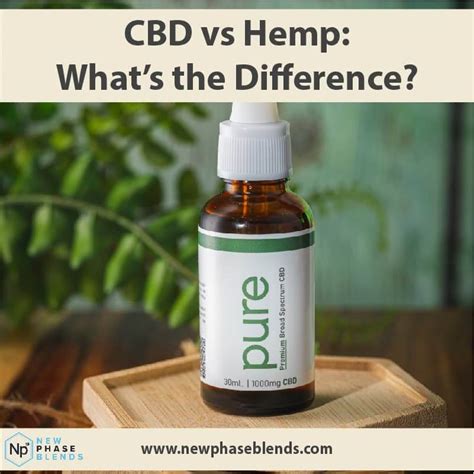 CBD vs. Hemp - What's the Difference? We Explain It