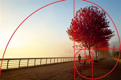 How To Use the Golden Ratio To Improve Your Photography - Apogee Photo Magazine