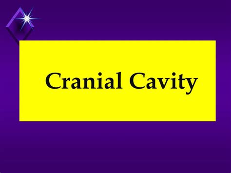 Cranial Cavity, Meninges Dural Venous Sinuses (Tubbs) 3.Pdf - DocsLib