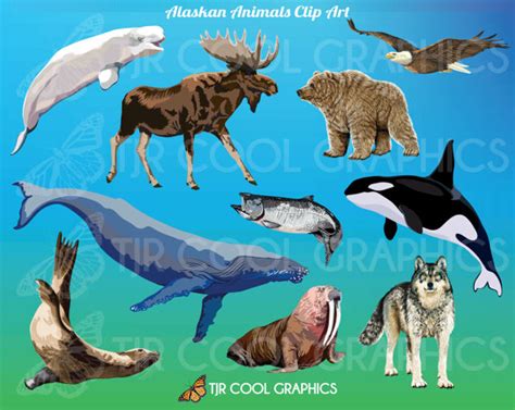 Alaska clipart wildlife alaska, Alaska wildlife alaska Transparent FREE for download on ...