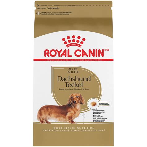 Royal Canin Breed Health Nutrition Dachshund Adult Dry Dog Food | Petco