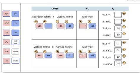 Solved Based on your analysis so far, you assign the | Chegg.com