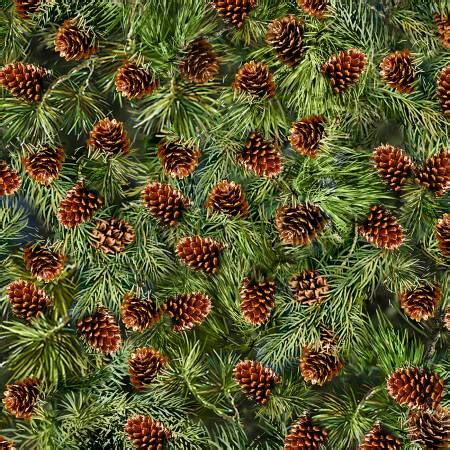 Pine Cones - 840615195346