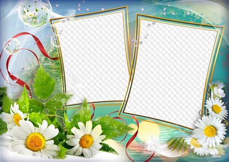 Family photo frame collage with Daisies, psd, png