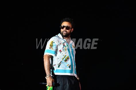 Shaggy performs live on stage during Hot Summer Night concert at FPL... | WireImage Australia ...