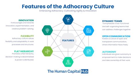 Adhocracy Culture: Complete Guide