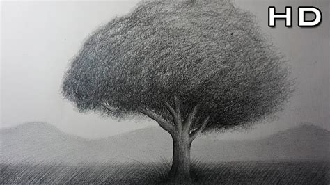 How to Draw a Tree Easy with Pencil Step by Step - Timelapse - YouTube