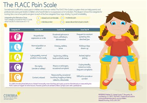 FLACC Pain Scale Infographic - Cerebra