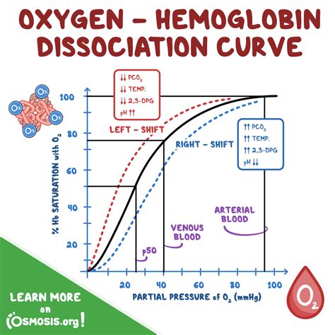 Oxygen-Haemoglobin Dissociation Curve • LITFL • CCC, 54% OFF