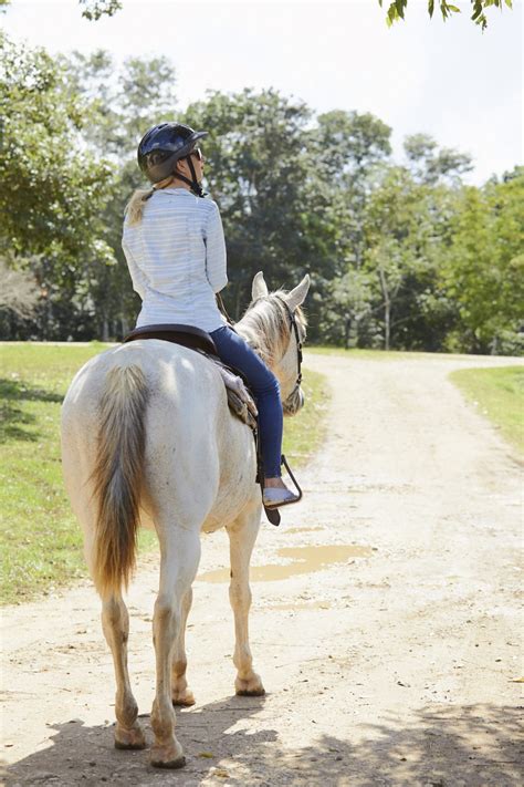 Unique Horseback Riding Tours