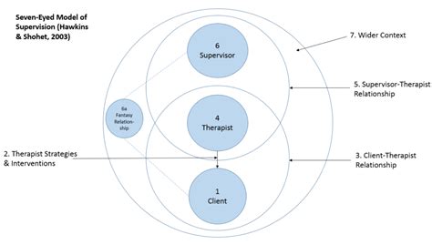 Seven Eyed Model of Supervision Diagram | Online & In-Person ...