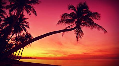 Tropical Sunset Wallpapers - Wallpaper Cave