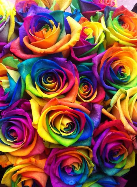 Rainbow roses at Creative Designs | Ilustrações florais, Rosas papel de ...