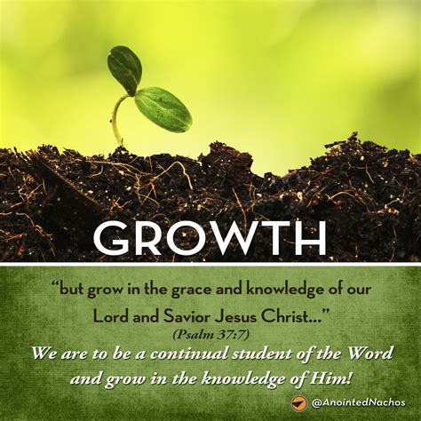 a green background with the words growth and a small plant growing out of it