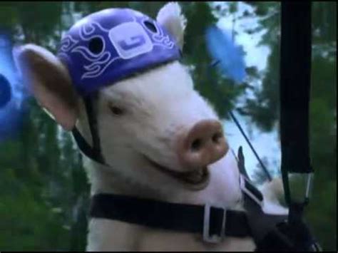 Maxwell the Pig Returns! Zip-line Piggy - New GEICO Commercial EPISODE 2 - YouTube