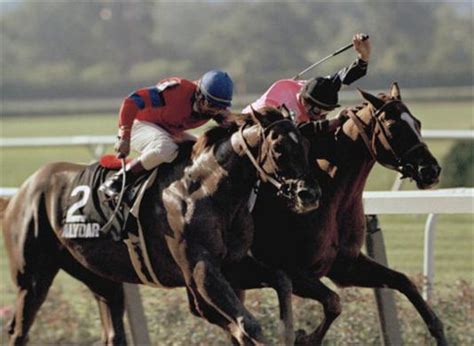 Keep Turning Left!: Affirmed & The Triple Crown