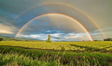 Double Rainbow Zoom Background | Download Free St. Patrick's Day Zoom Backgrounds | POPSUGAR ...