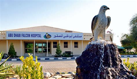 Abu Dhabi Falcon Hospital Tour - Desert Rose Tourism, Abu Dhabi, UAE