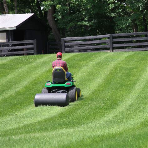 Best Lawn Rollers of 2022 | Ultimate Guide & Reviews - GardeningTeacher.com