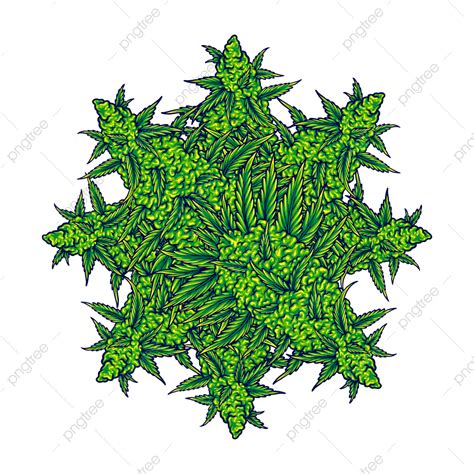 Cannabis Weed Leaf Vector Hd PNG Images, Weed Leaf Cannabis Mandala Vector Illustrations For ...