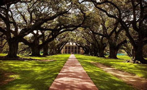 Oak Alley Plantation Tour with Transportation - TripShock!