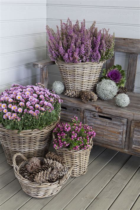 21 Magnificent Ideas for Potted Mums | Country garden decor, Container ...