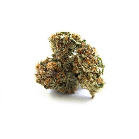 Buy Ghost Train | Shipping Across Canada - The Purple Butler