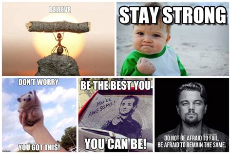 55 Funny Motivational Memes that will Uplift Your Spirits | Inspirationfeed