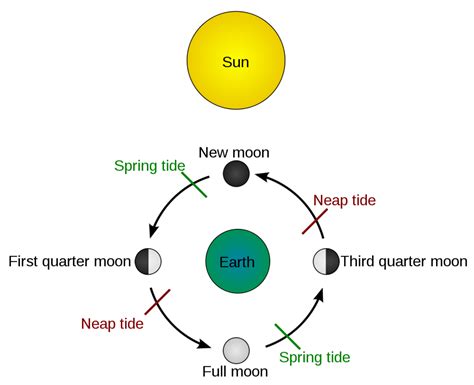 How Does the Moon Affect the Tides? - HubPages