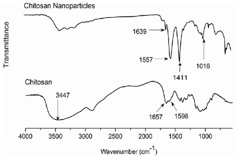 Ftir Spectra Of Chitosan Nanoparticles And Chitosan Download | sexiezpix Web Porn