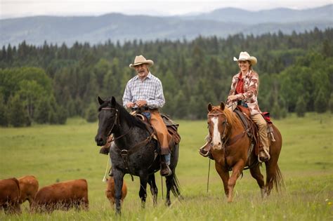 When Will ‘Heartland’ Season 17 Premiere In The United States? – Daily News