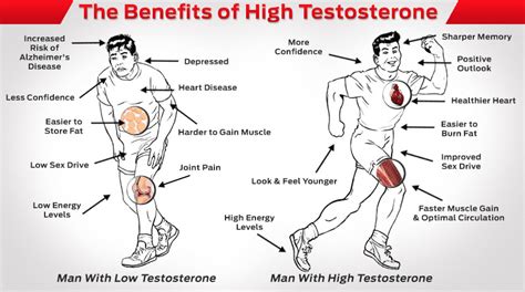 17 Signs Of High Testosterone Production In Men in 2020