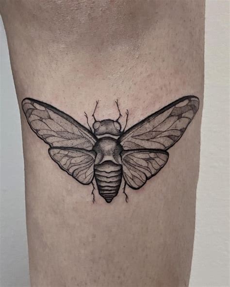 70 Inspiring Cicada Tattoo Ideas