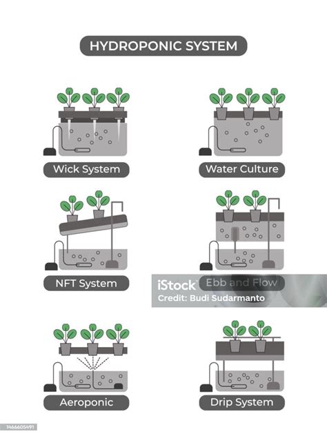 Types Of Hydroponic Systems Stock Illustration - Download Image Now ...