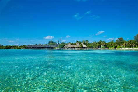 Premium Photo | Tropical beach in maldives