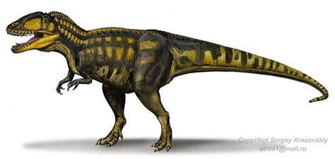 Carcharodontosaurus Pictures & Facts - The Dinosaur Database