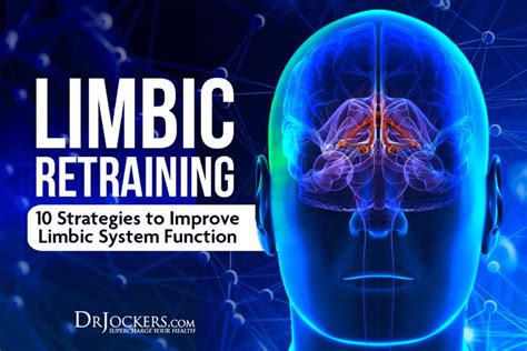 Limbic Retraining: 10 Strategies to Improve Limbic System Function | Limbic system, Brain system ...