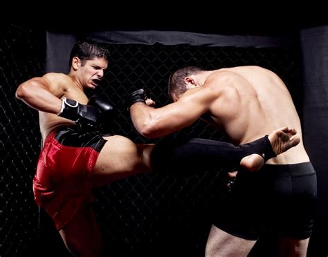 Mixed Martial Arts Rules: How to Play, Basic Rules - Sportsmatik