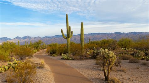 Arizona: A Landscape Like No Other - Visit USA Parks